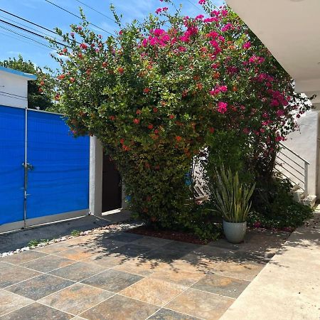 Casa Nuria Playa del Carmen Exterior photo